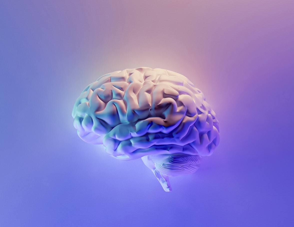 Ο αυτισμός φαίνεται να είναι εξελικτική συνέπεια της ανάπτυξης του ανθρώπινου εγκεφάλου