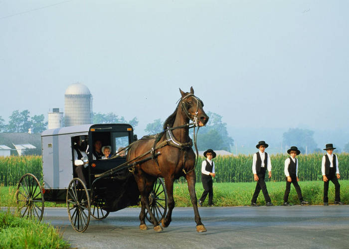 Σπάνια γενετική μετάλλαξη βρέθηκε σε Amish θα μπορούσε να καταπολεμήσει τη γήρανση