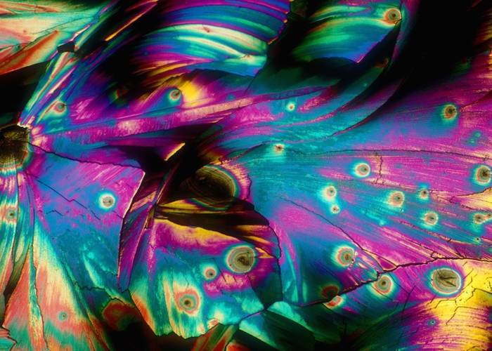 Υπέροχες φωτογραφίες από ποτά στο μικροσκόπιο